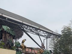 -杭州野生动物世界