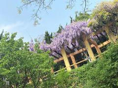 -石老人观光园