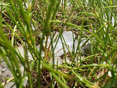 -峡谷浮石林景区