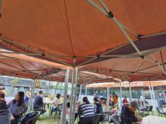 -前小桔亲子创意农场·草莓采摘·露营烧烤