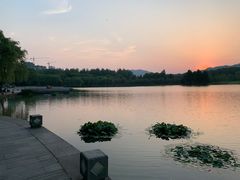 -浙江农林大学(东湖校区)