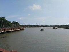 -东寨港红树林旅游区