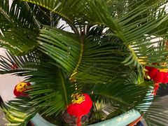 -喜湘宴·精致湖南菜(和平西桥店)