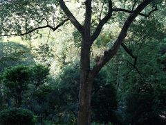 -东明山森林公园