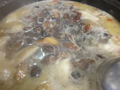 -云朵石锅鱼·野生菌餐厅(蒗放店)