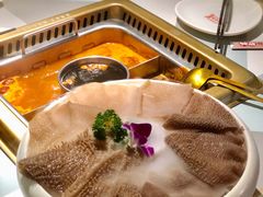 -雾都渣渣火锅(南城智汇城店)