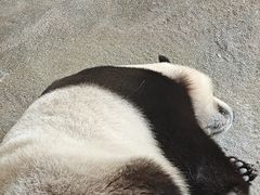 -宁波野生动物园