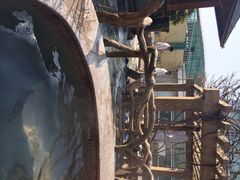 金隅凤山温泉度假村-金隅凤山酒店