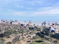 -巧克力渔家.小船海鲜胶东菜(万平口店)