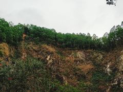 -火炉山森林公园