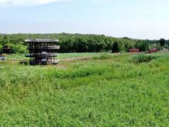 -小六农家乐(崇明西沙湿地店)