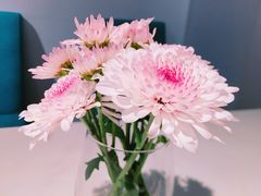 -伊斯坦布尔土耳其清真咖啡餐厅