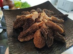 -蘑统田下·野生菌火锅