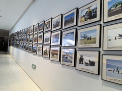 -罗红摄影艺术馆