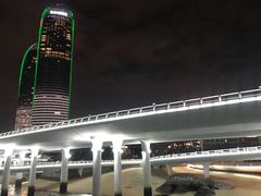 -演武大桥观景平台