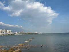 -洱海月湿地公园