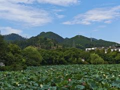 -潜口民宅博物馆