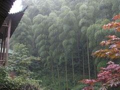 -藏龙百瀑风景区