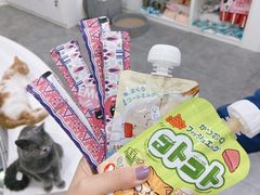 -极木²邸 人与宠物·互动社区