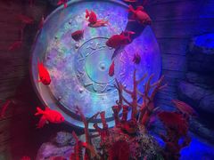 -沈阳海洋探索中心