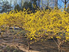 -元大都城垣遗址公园