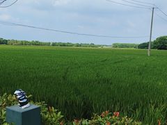 -嘉北郊野公园
