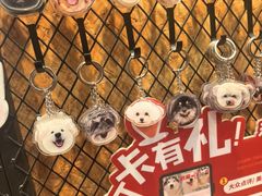 -和它·交个朋友·狗咖猫咖(爱琴海店)