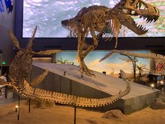 -贝林大翅鲸简餐厅(国家海洋博物馆店)