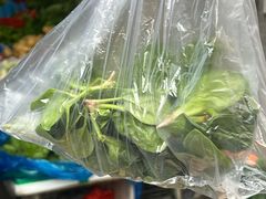 -科巷菜场