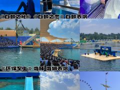 -秦皇岛乐岛海洋王国