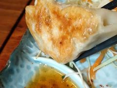 大阪烧饺子-熊藏居酒屋(kkone店)