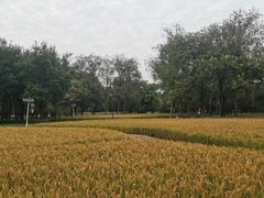 -北坞公园
