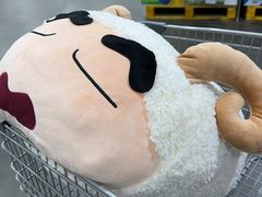 -山姆会员商店(亦庄创意生活广场店)