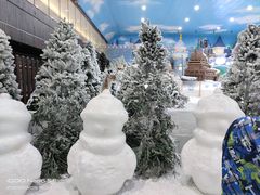 -世界之窗阿尔卑斯冰雪世界