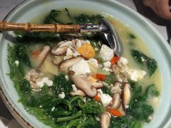 上汤桑叶苗-大榕树下顺德菜(融创茂店)