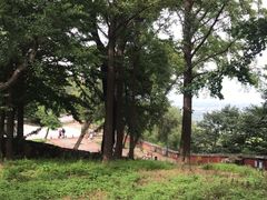 -阳台山自然风景区