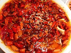 -初蓉丨遇见新川菜(亲贤街荣耀店)