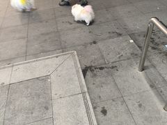 -大悦城(沈阳中街店)