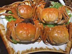 大闸蟹-德信恒隆国际酒店