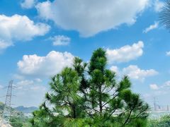 -灵岩山风景区