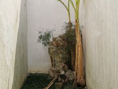 -程十发艺术馆