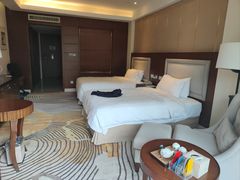 -宜春明月山维景国际温泉度假酒店