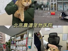 -美联众合爱康动物医院•复杂内科•肿瘤科•牙科•腔镜诊疗中心