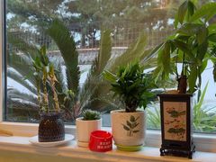 -宾朋海鲜饭庄(兴海路店)