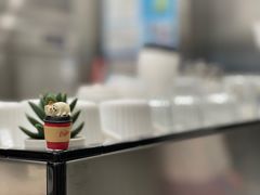 -缶乐FOLLOW咖啡
