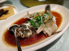 清蒸鳜鱼-乾隆美食·本帮菜(黄河路店)