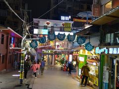 -猫咪博物馆(顶澳仔猫街店)