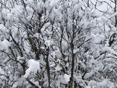 景点-西岭雪山大飞水景区