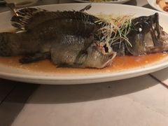 -船歌·鱼水饺青岛菜(闽江二路店)