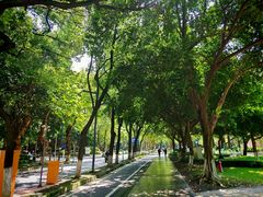 -四川大学(望江校区)